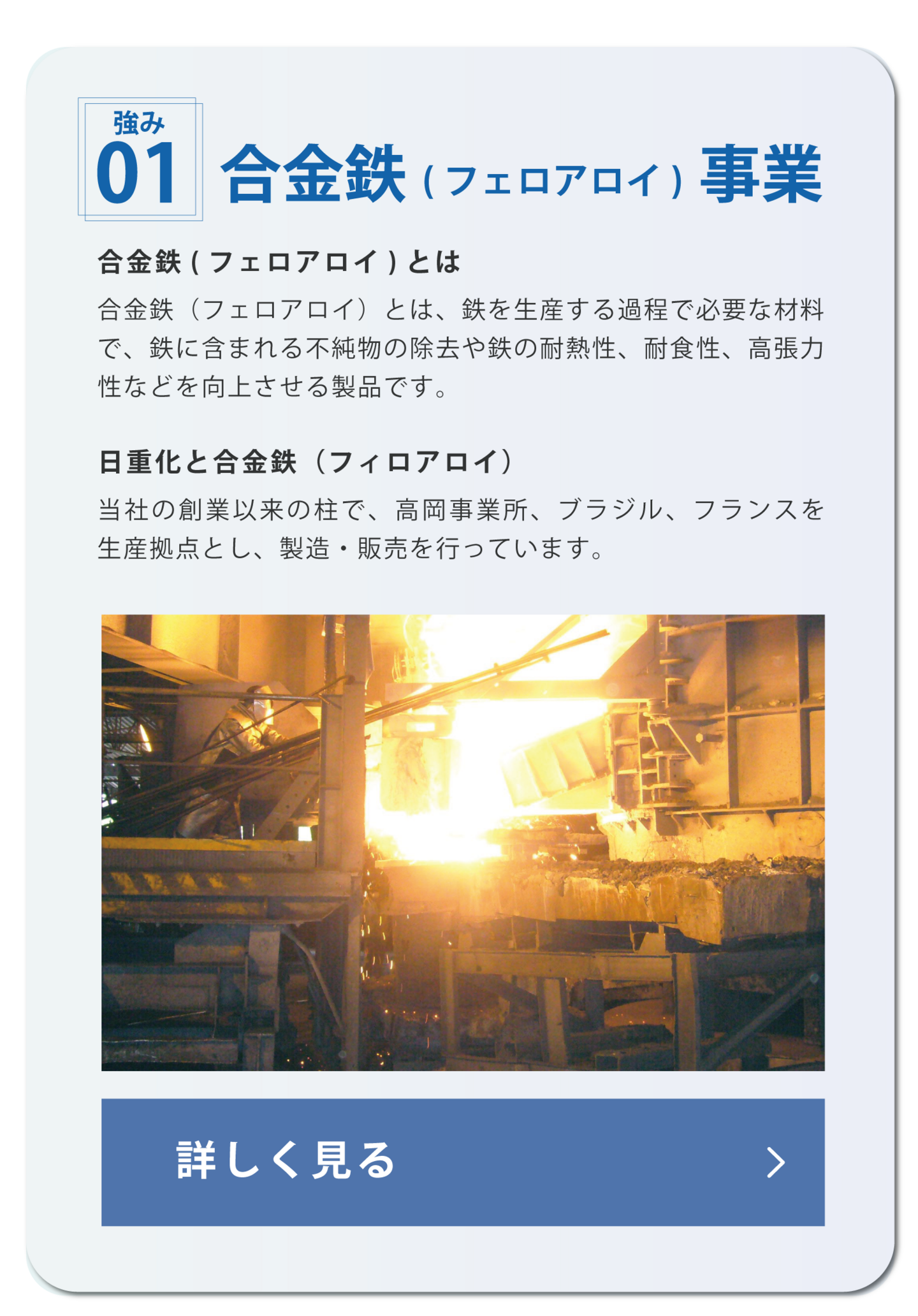 日本重化学工業　合金鉄事業